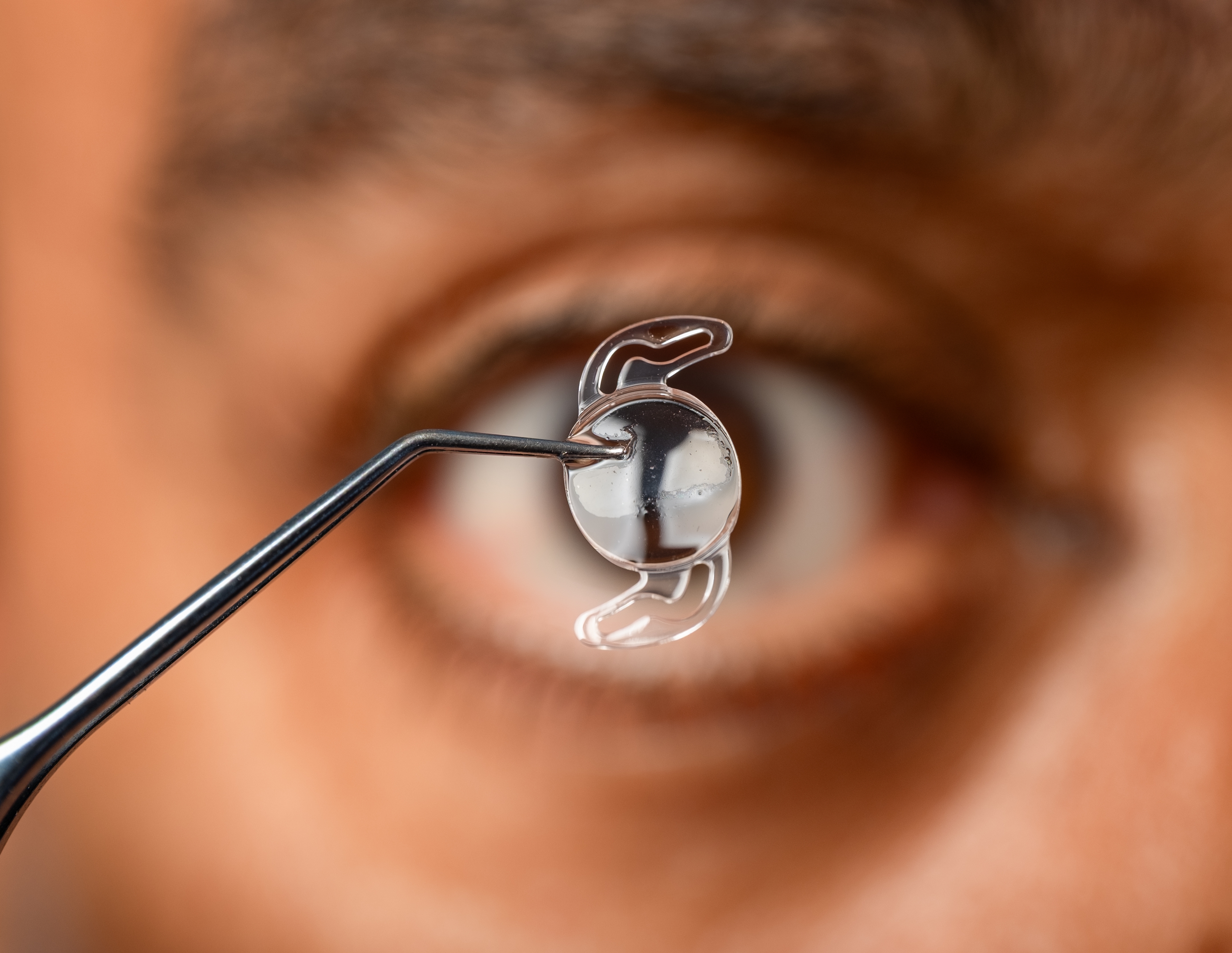 Shutterstock 2719523509