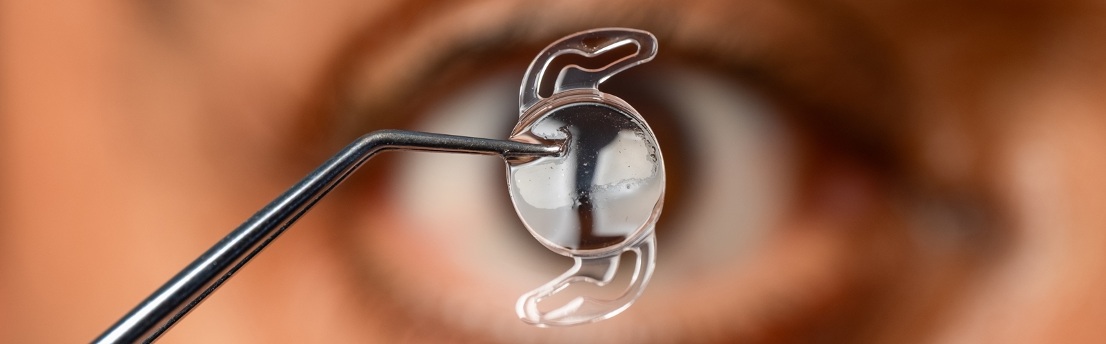 Shutterstock 2719523509
